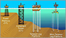 DDS Bottom Supported Structure - thumbnail